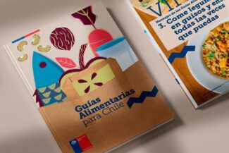 Guías alimentarias para Chile 2024